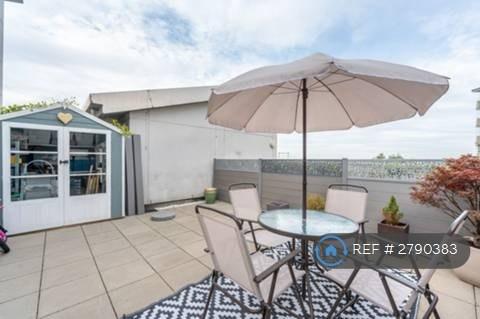 Roof Terrace