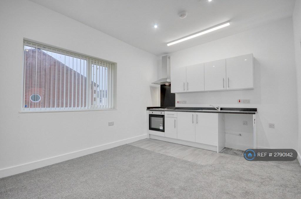 Living / Kitchen Area