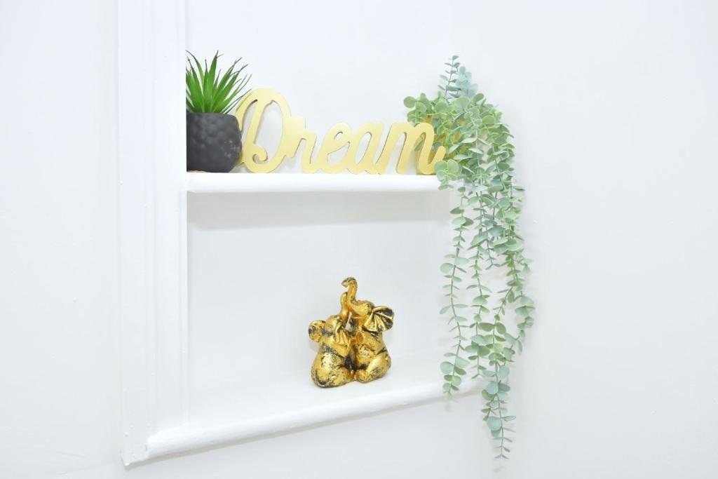 Bright white wall niche styled with a potted su...