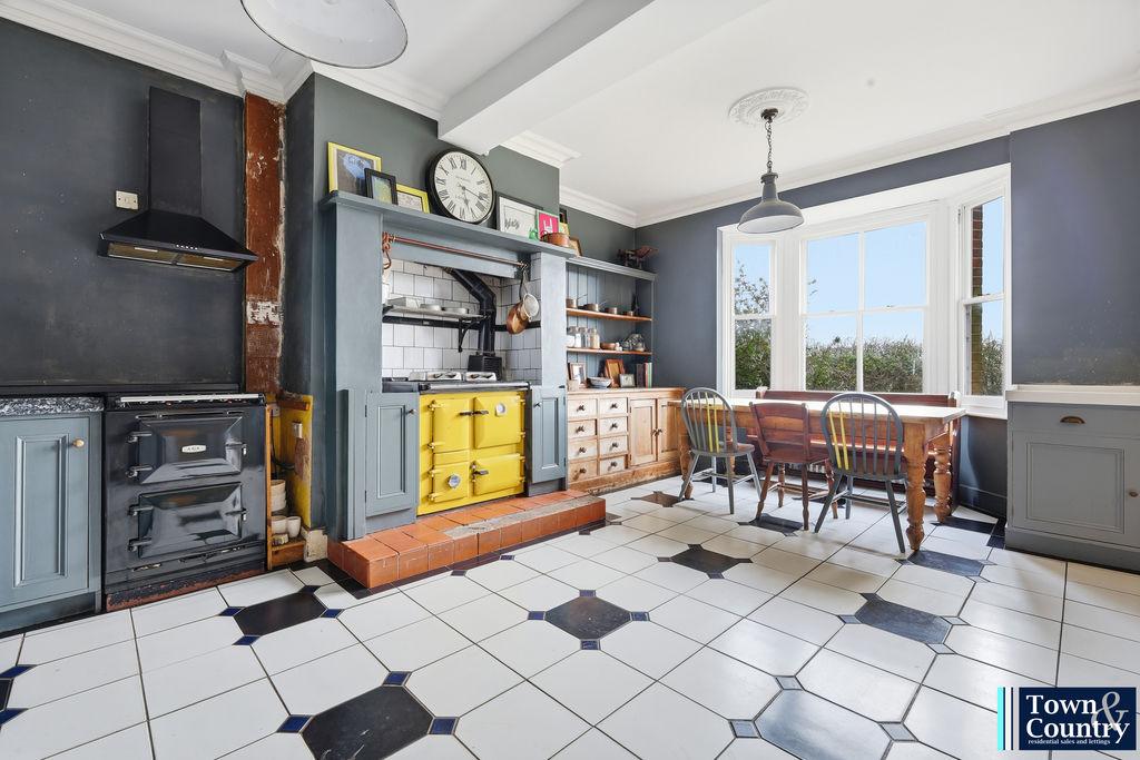 The hawk