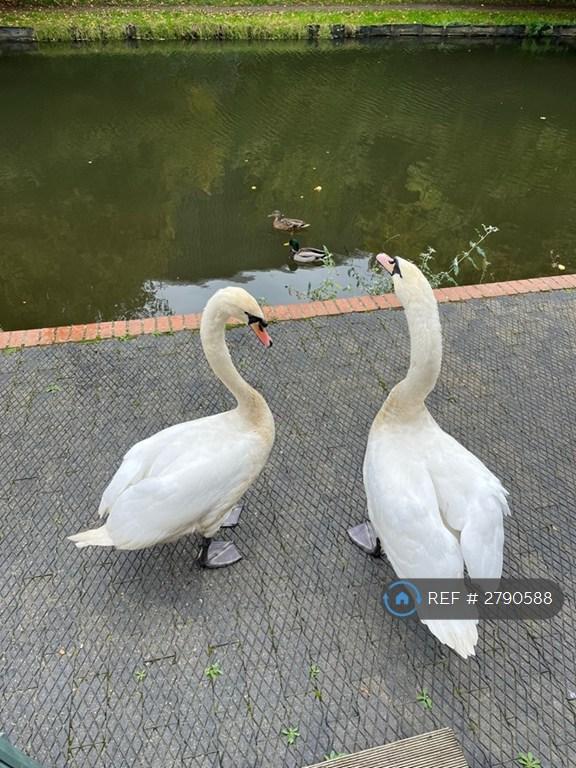 Oxford Canal 2