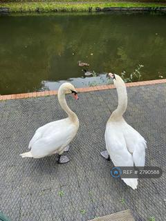 undefined, Cherwell Wharf, Banbury, OX16