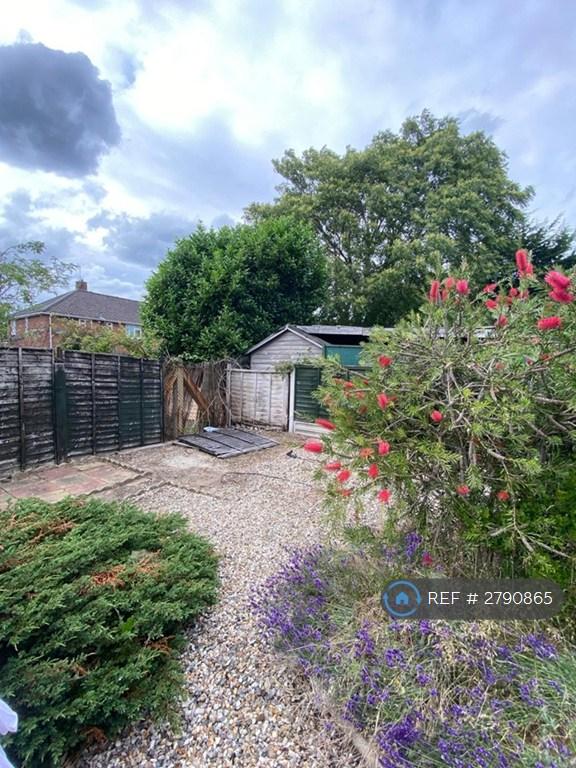Back Garden