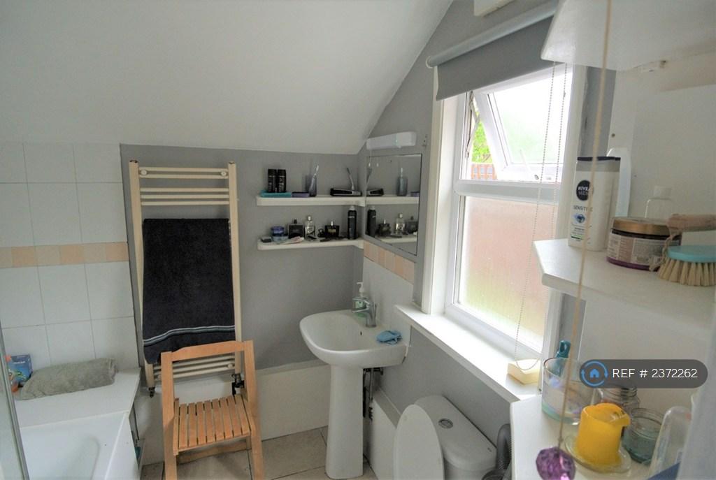 Downstairs Bath