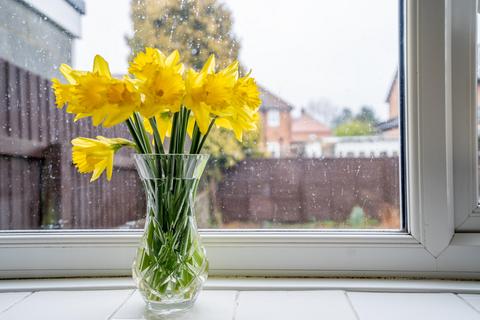 3 bedroom semi-detached house for sale, The Limes, Stockton On The Forest, York