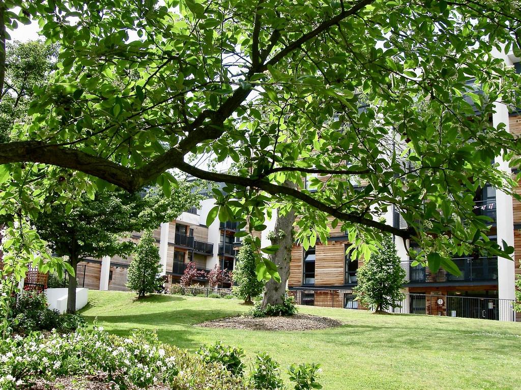 13 acres Parkland.JPG