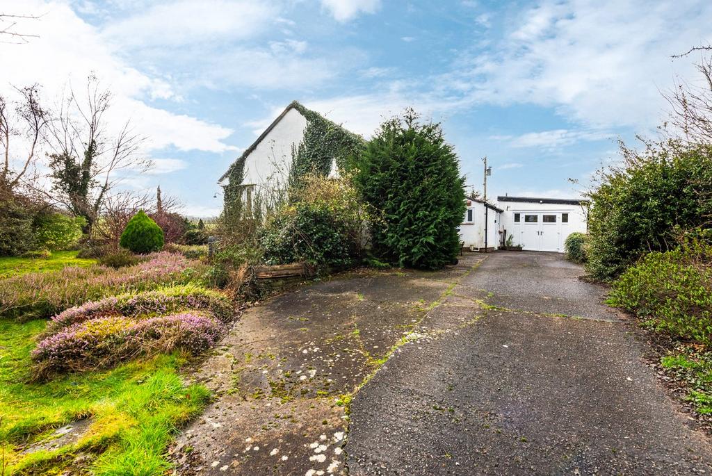 Rear of the Property