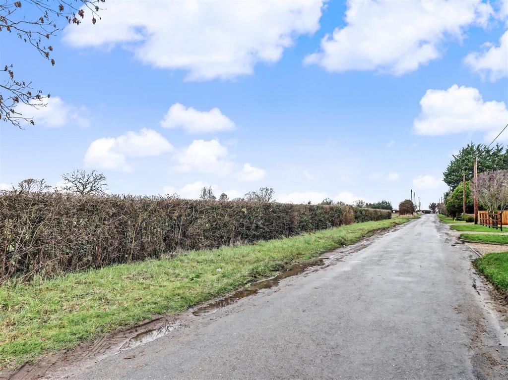 The lane