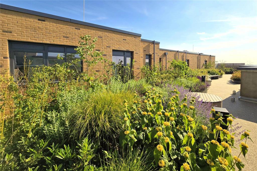 Roof Terrace