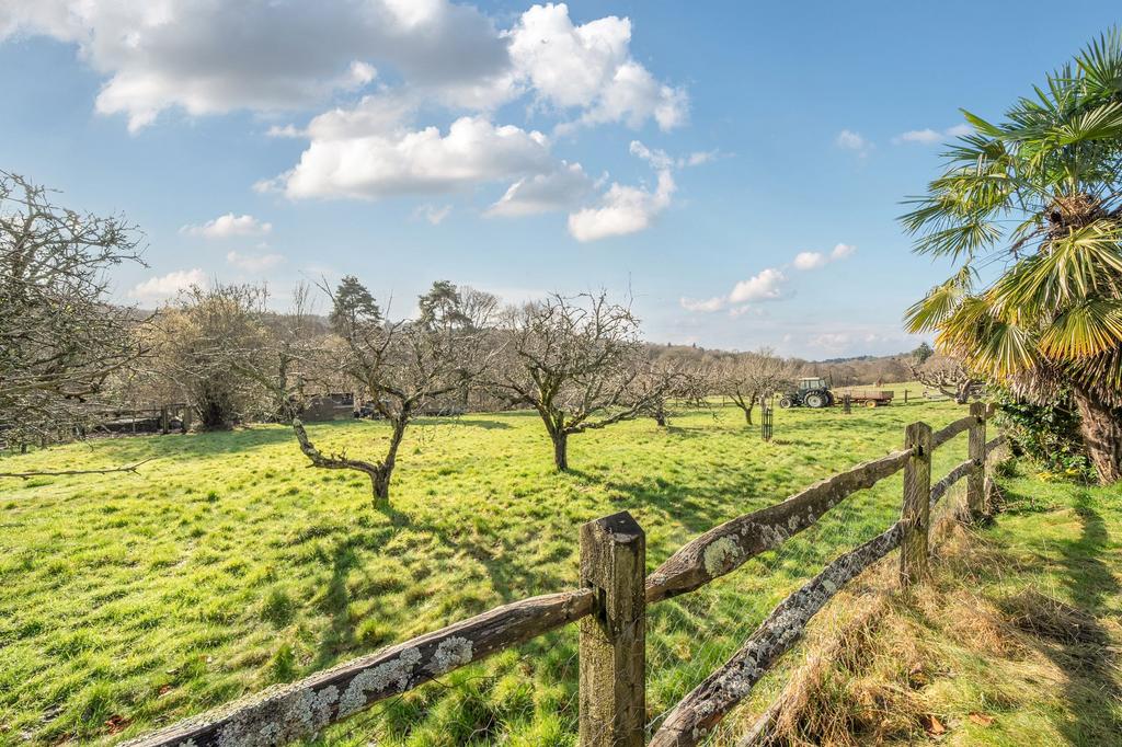 View Over Fields/Orchard Beyond