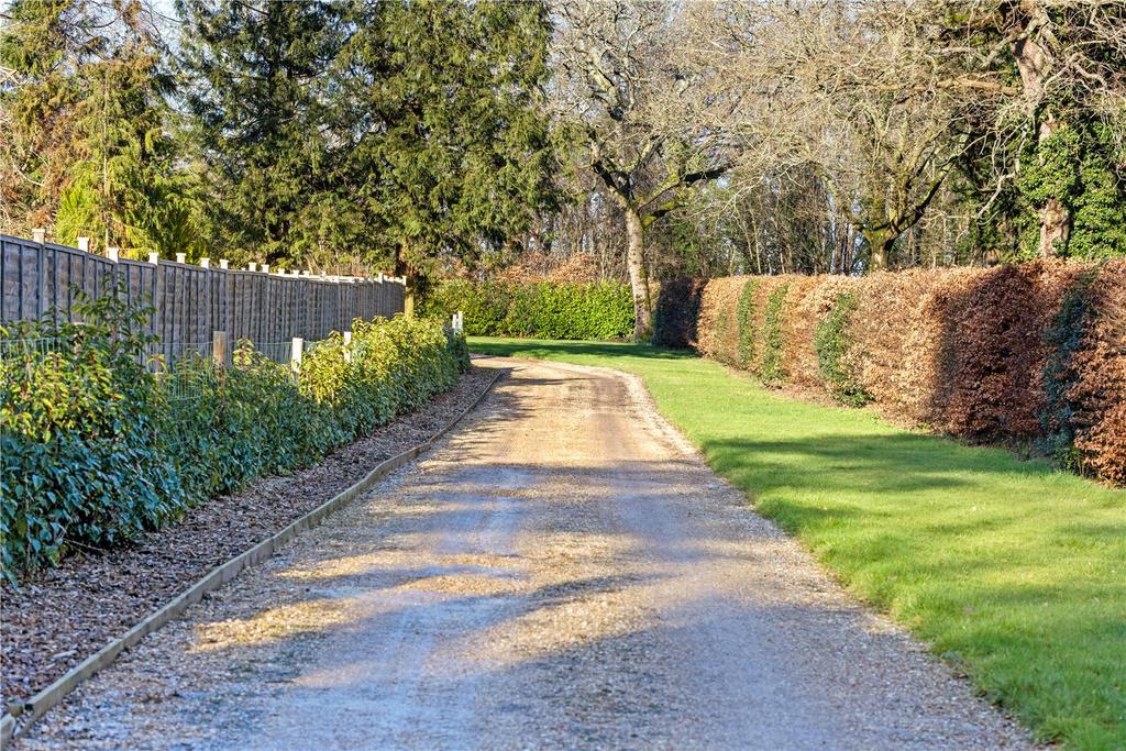 Driveway