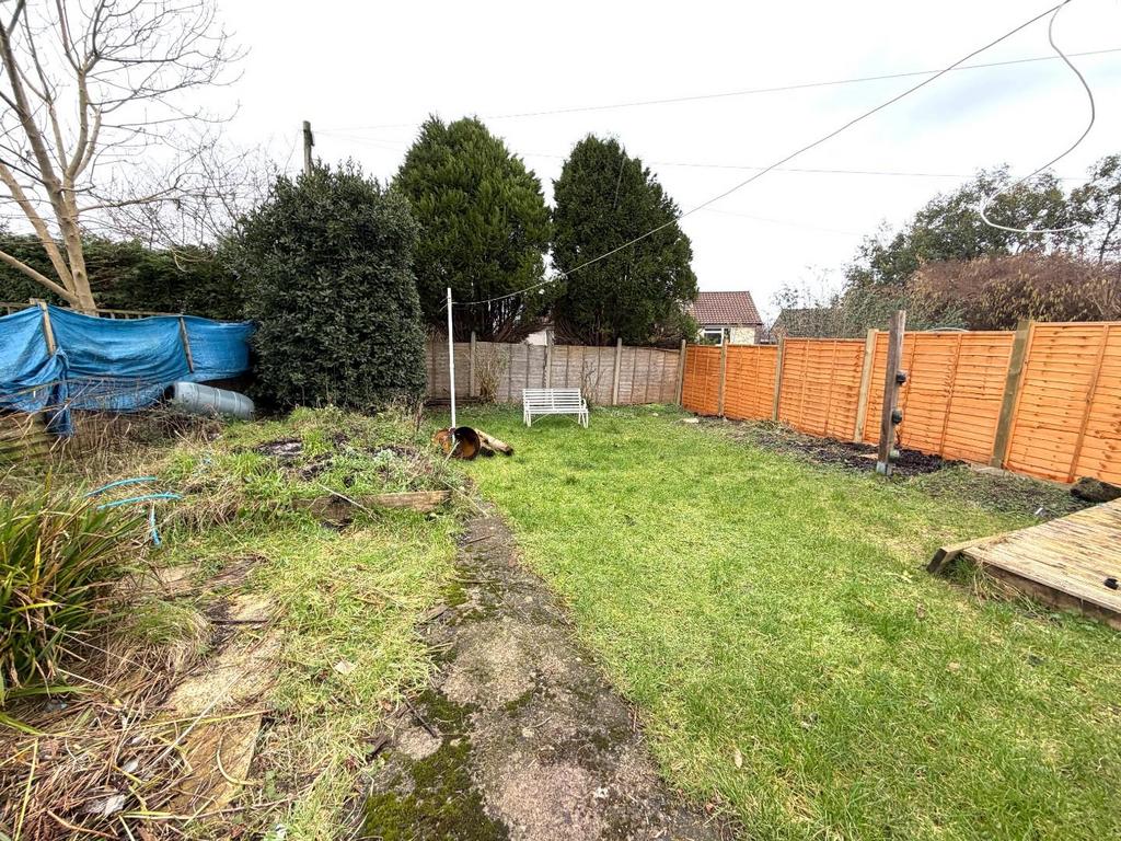 Garden.JPG