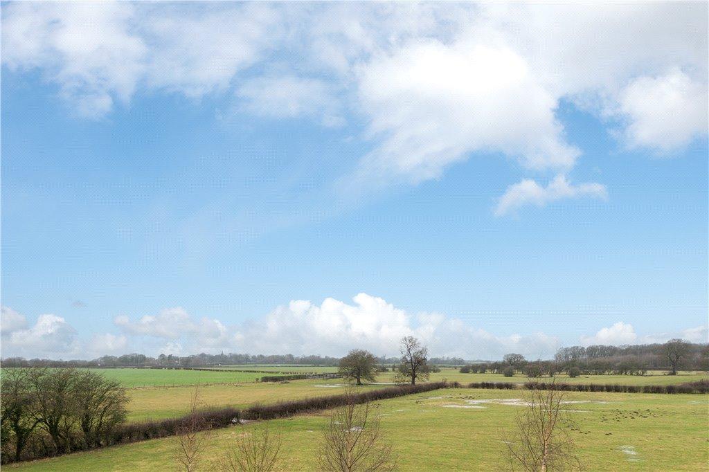 Field Views
