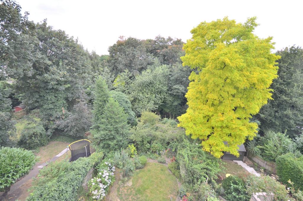Communal Garden