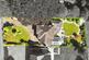 Additional image 3 of Liverpool Road West, Church Lawton, Alsager, Cheshire, ST7