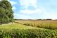 Additional image 26 of Liverpool Road West, Church Lawton, Alsager, Cheshire, ST7