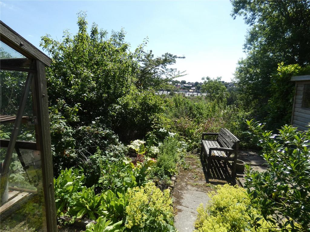 Vegetable Garden