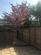 Additional image 18 of Wren Court, Long Eaton, Nottingham, Derbyshire, NG10