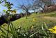 Additional image 6 of Fackley Road, SUTTON-IN-ASHFIELD, Nottinghamshire, NG17