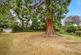 Additional image 4 of Village Street, Edwalton, Nottingham, Nottinghamshire, NG12