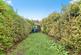 Additional image 17 of Exchange Road, West Bridgford, Nottinghamshire, NG2
