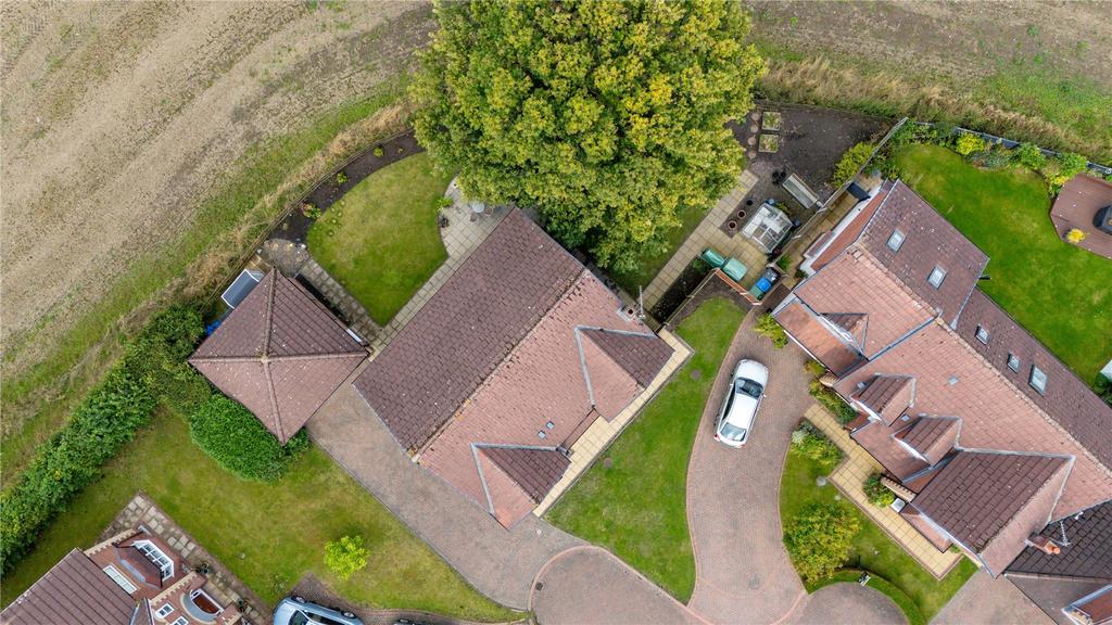 Birds Eye View