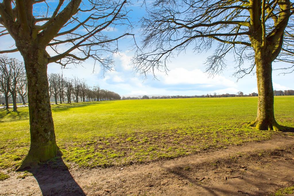 Savile Park
