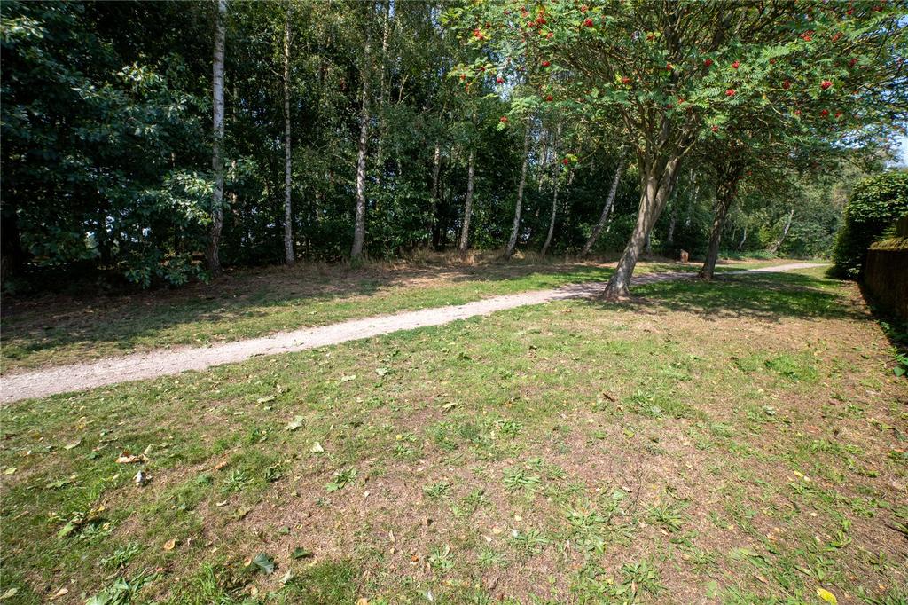 Woods Behind