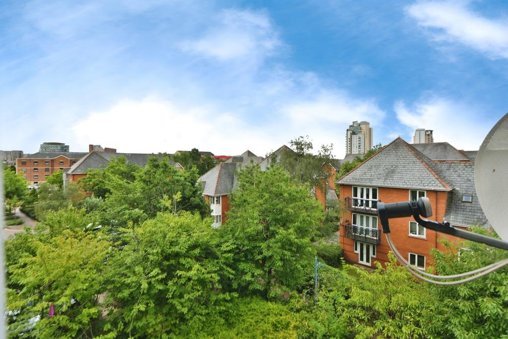 Rear Views
