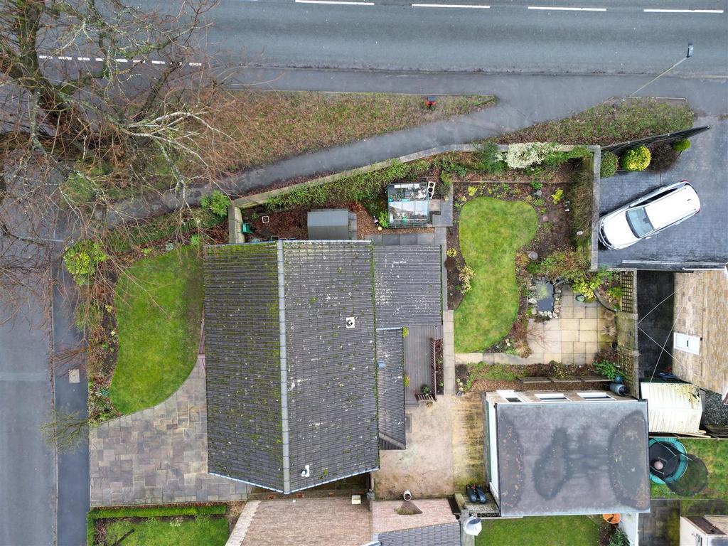 Aerial Shot