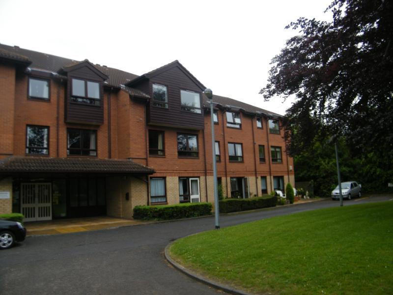 Shows Block