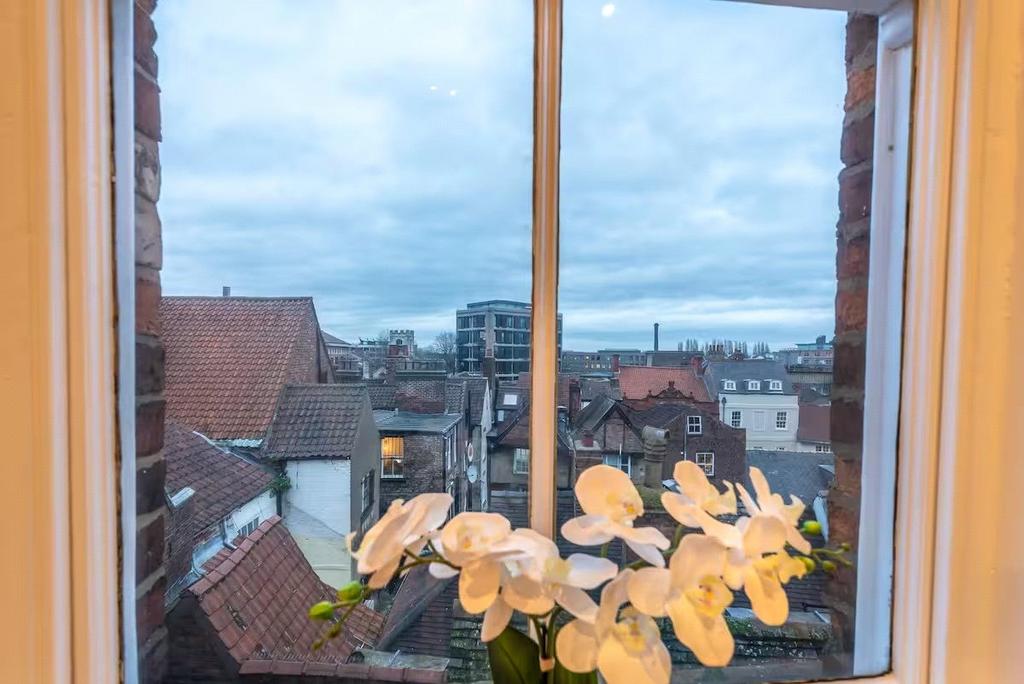 Window View