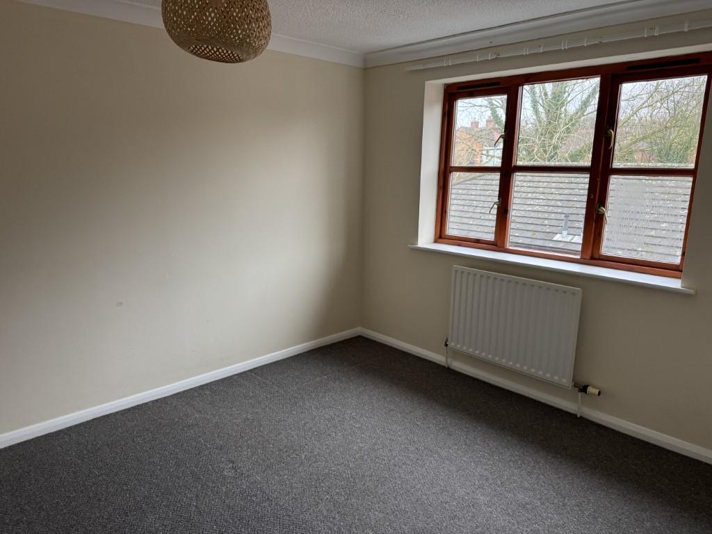 4  Medium  T202602101550.jpg