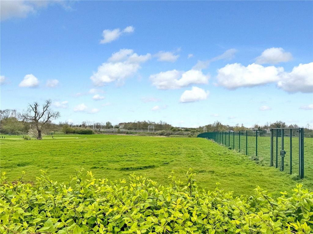 Behind Garden