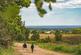Dinan Way, Hulham Road, Exmouth, Devon, EX8 photo 5