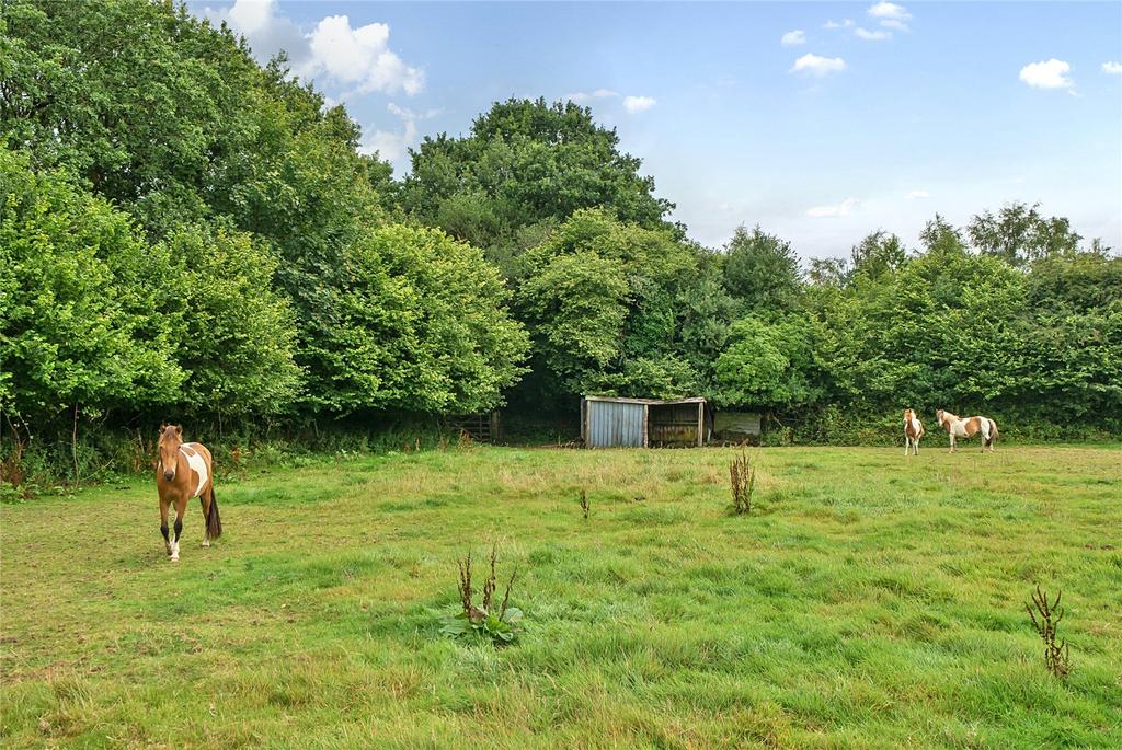 Paddocks