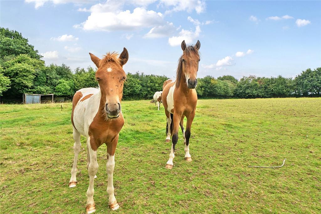 Paddocks