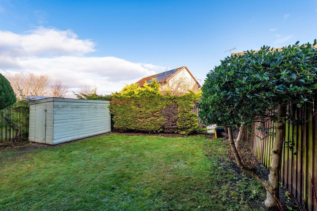 Back garden