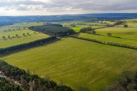 Land to rent, Lockerbie, Dumfriesshire, DG11