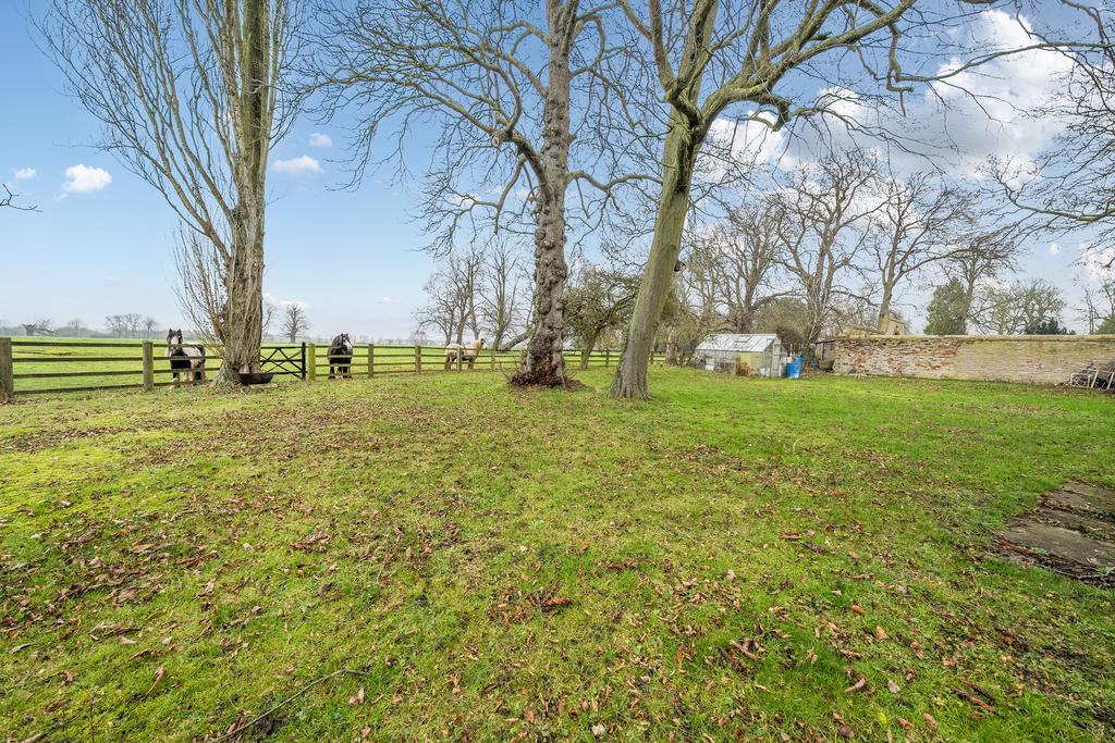 Garden and Field View