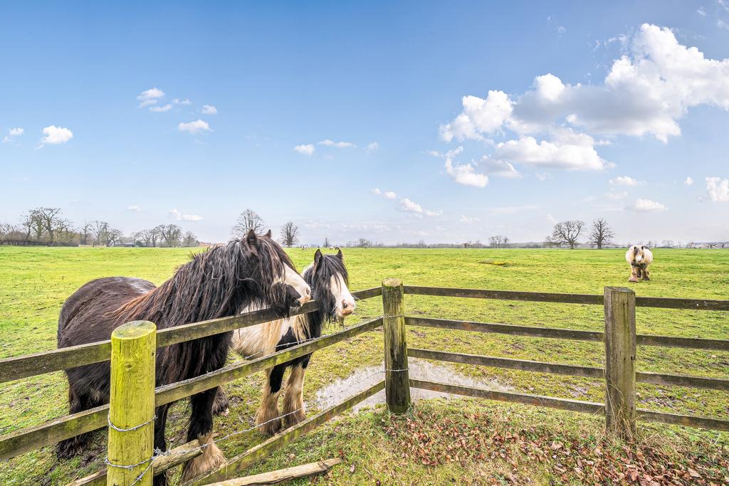 Views from the garden