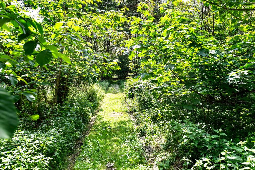 Communal Woodland