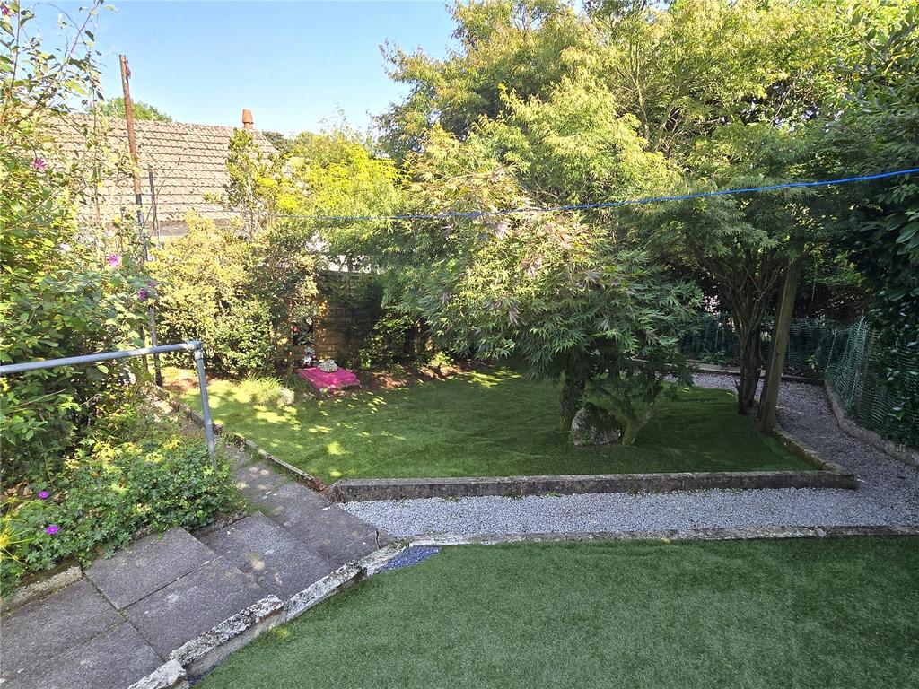 Back Garden