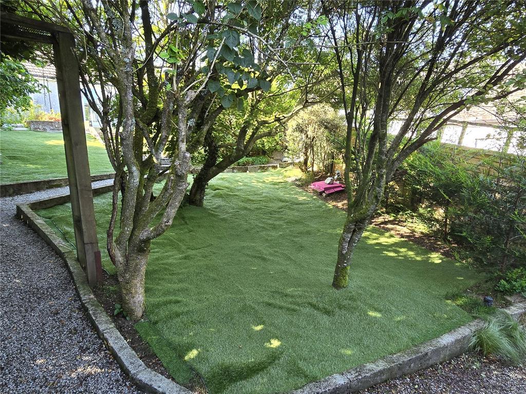 Back Garden