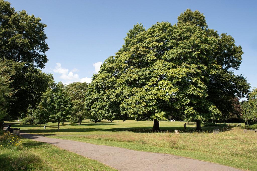 Kidwell Park