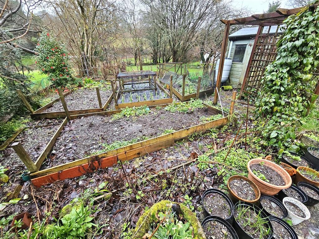 Vegetable Garden.jpg