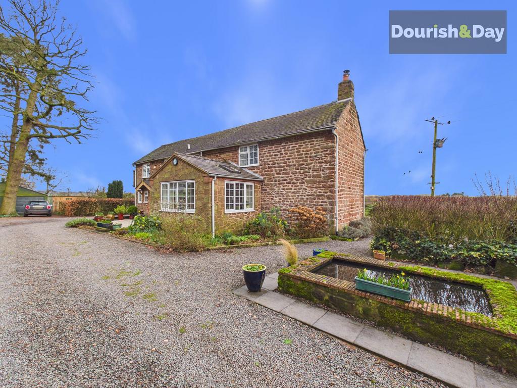 Driveway & Rear Elevation