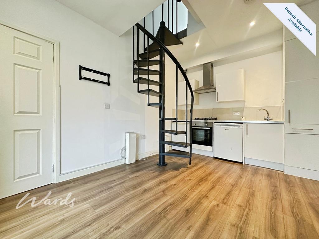 Living/Kitchen Area