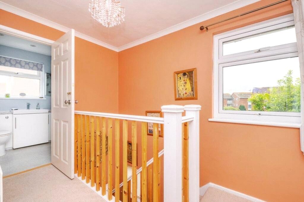 Photos