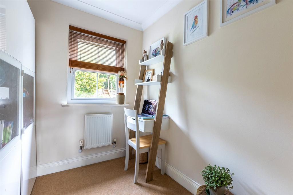 Photos